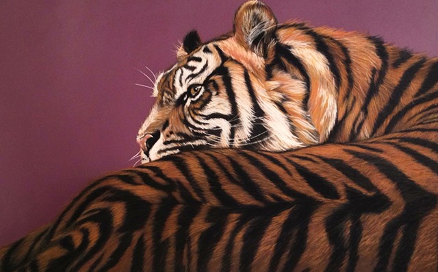 Tiger Drawing, Charcoal, Pastel and Acrylic