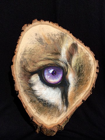lion eye charcoal aimee kuester art artwork for sale purple original big cat feline cats 