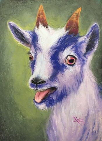 goat baby goat purple goat aimee kuester spirit animal cute silly funny goats kid for sale pastel drawing charcoal art 