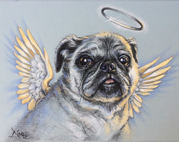 aimee kuester animal charcoal pastel for sale drawing art artwork pug dog life pet portrait heaven angel afterlife dog puppy pup travis louie frodo wings angelic custom dog lover regal beautiful animals beautiful for sale aimee a
