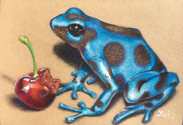 frog poison blue dart frog aimee kuester realistic drawing pastel charcoal cherry cherries wildlife frogs art commission