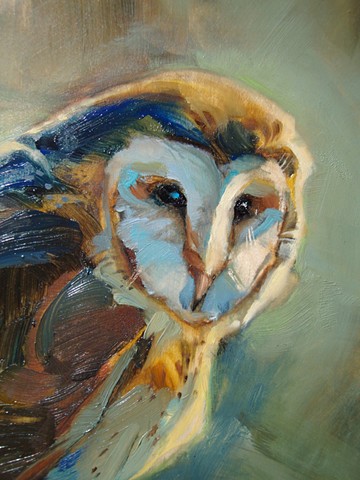 aimee kuester owl painting oil paint colorful barn owl art artwork pastel for sale artist nocturnal owls birds bird predator hunter 