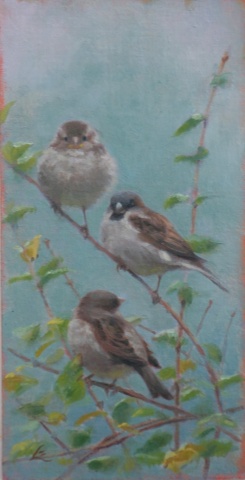"house sparrow family"