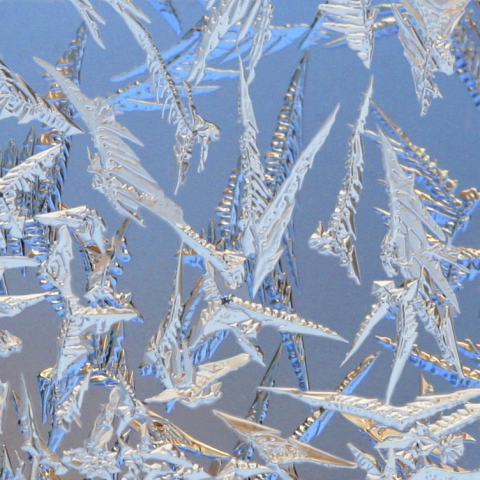 A Paraverse of Frost #1