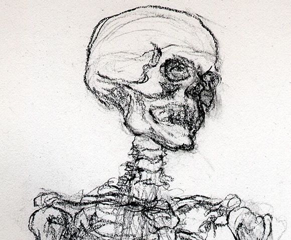 anatomy skeleton drawing of a human cranium