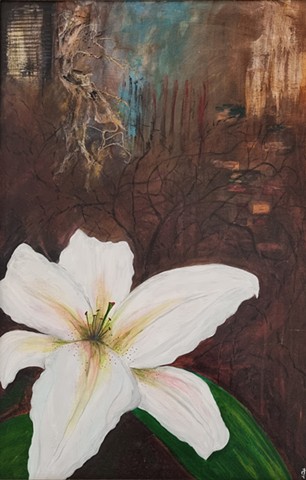 white lily against a dark abstract background