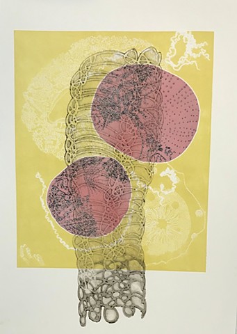 Multi-color collagraphic print, one of a kind, Female artist, Belfast, Maine