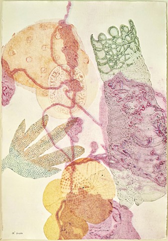 Multi-color collagraphic print, one of a kind, Female artist, Belfast, Maine