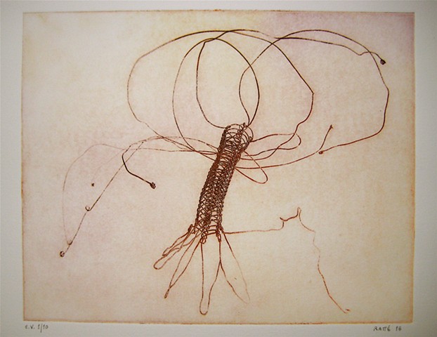 Etching, female artist, Belfast, Maine