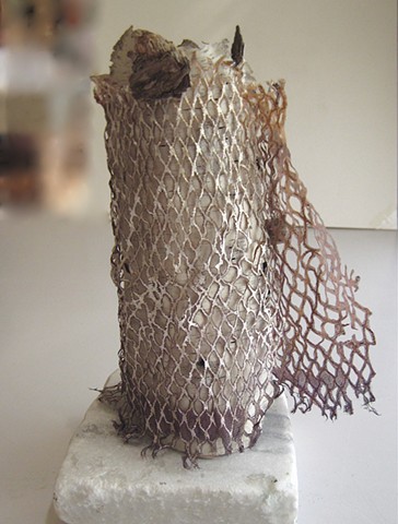 birch, aluminum print, found material, woman artist, belfast maine