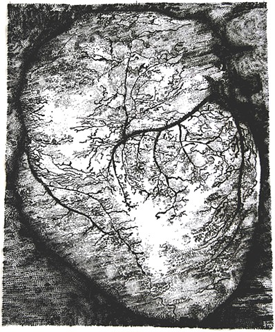 ink on velum, woman artist, Belfast, Maine artist