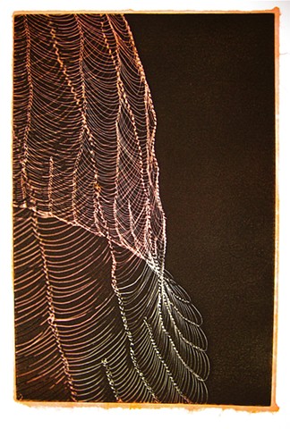 Etching, female artist, Belfast, Maine