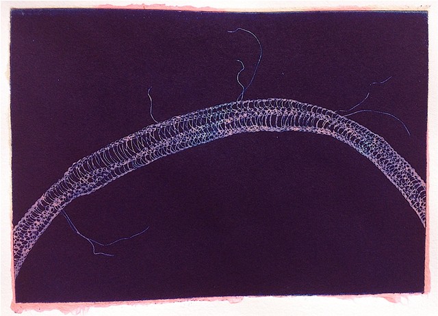 Etching, female artist, Belfast, Maine