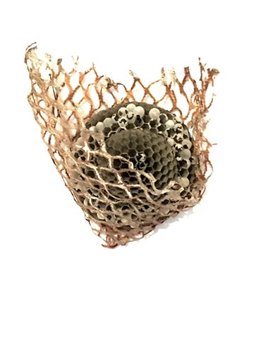wasp nest, gilding, silk, female artist, belfast, Maine