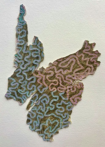 Wasp paper, kitakata paper, woman artist, Belfast artist, Maine artist