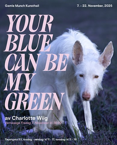 Solo show at Gamle Munch Kunsthall opening soon