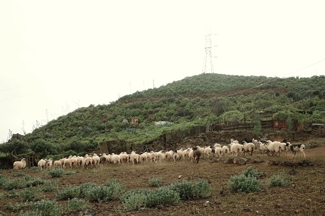 Untitled (Tenerife) 