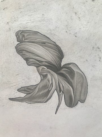 Folds3