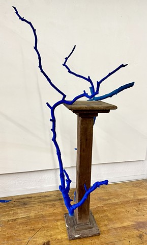 Blue branch