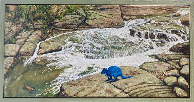 Blue wallaby
