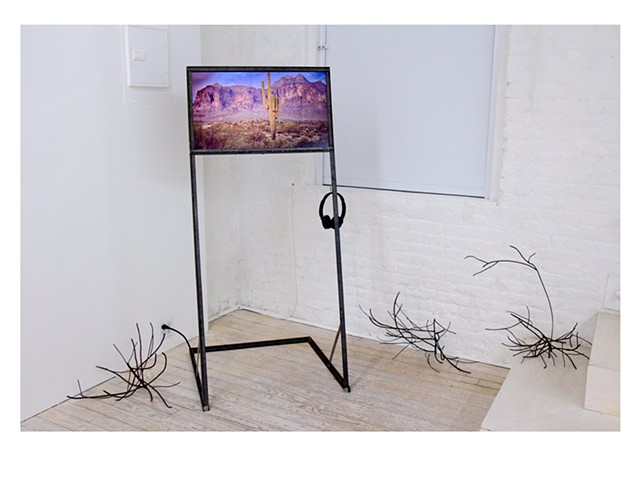The Tumbleweed, For Example