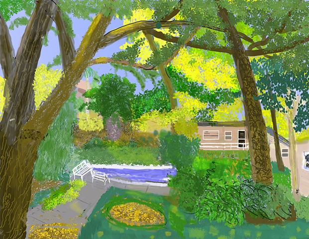 Linda's Back Yard