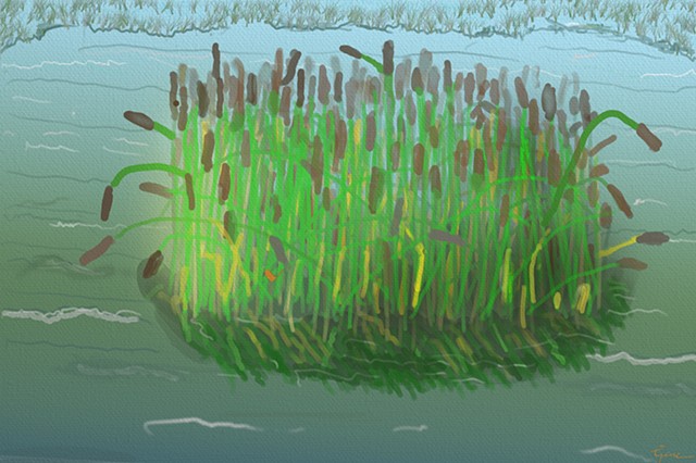 Cattails 2