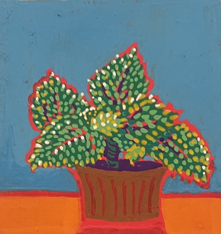 Pilea 3