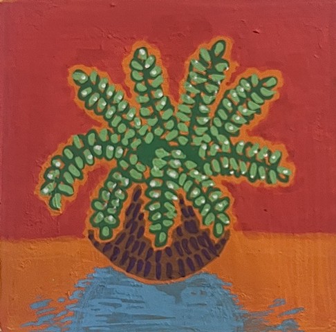 Fern
