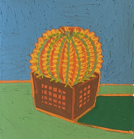 Barrel Cactus