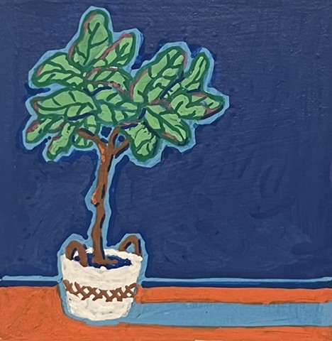 Fiddle Leaf Fig
