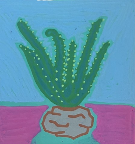 Aloe