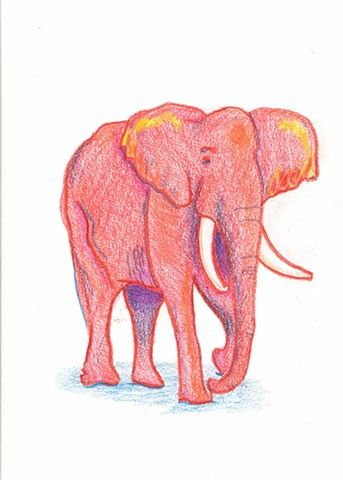 Elephant