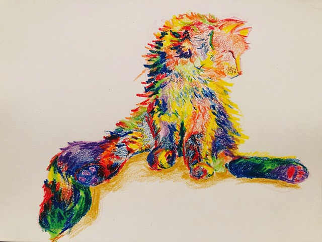 Rainbow Cat