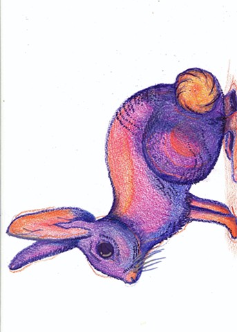 Cottontail