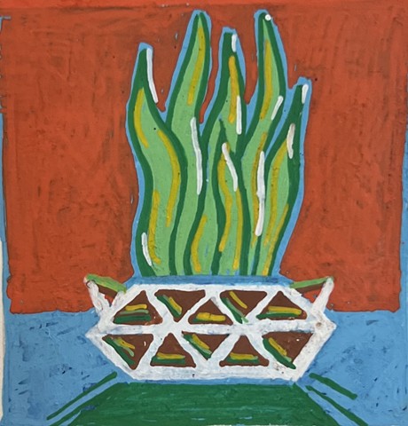 Snake Plant