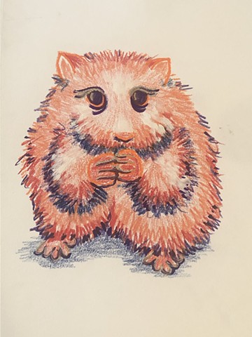 Hamster