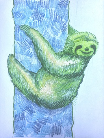 Animal Drawings