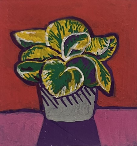 Pilea 2