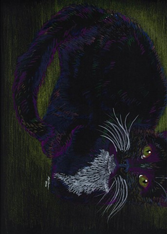 Black Cat