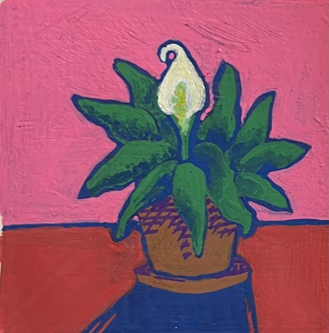 Peace Lily