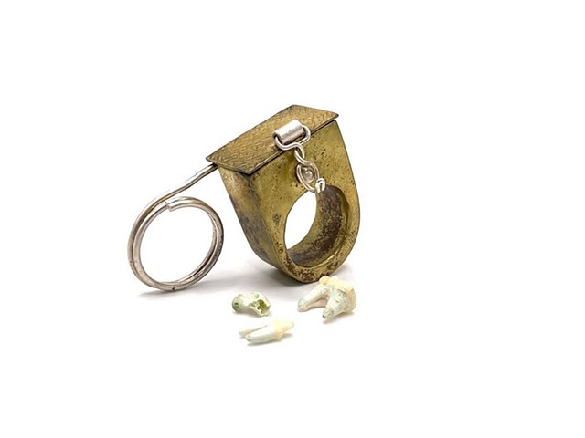 Tooth box ring