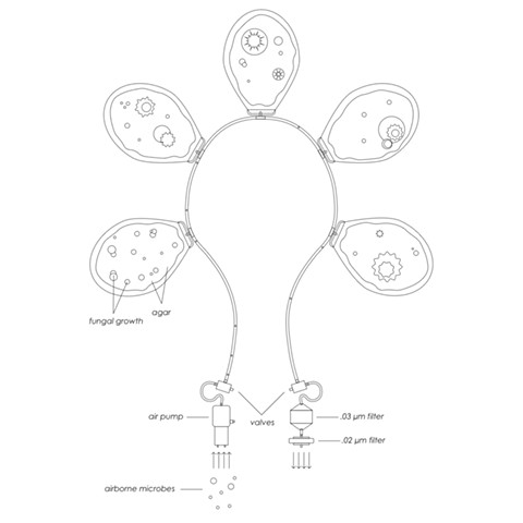 Pneuma schematic