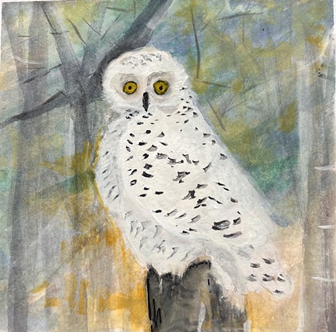Wise Owl