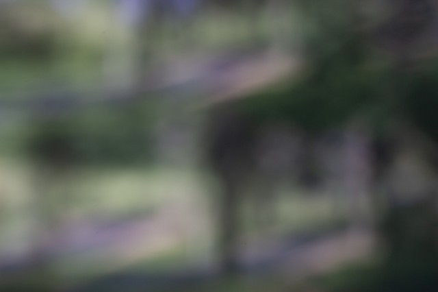 Untitled Photo Experiment V.