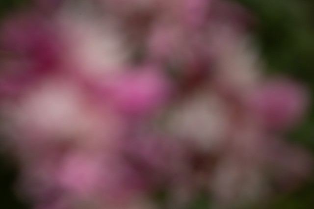 Untitled Photo ExperimentVI.