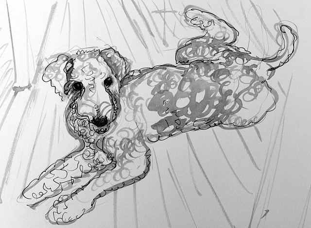 Cooper
