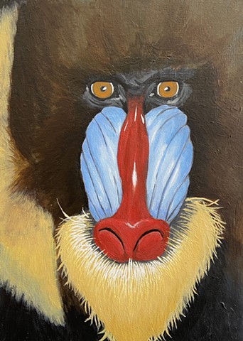Monkey