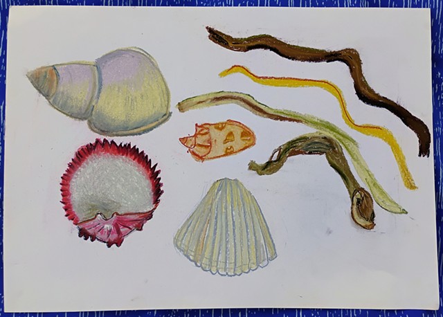Seashells 2 