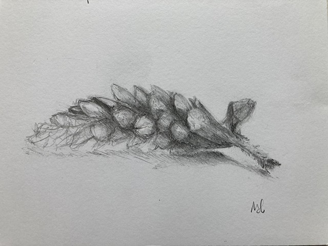 Pinecone